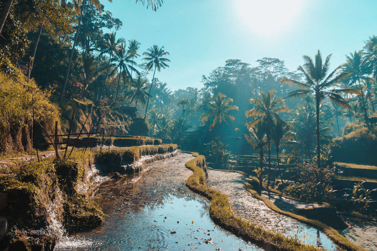 Capture the authentic charm of Bali’s safe cultural scene